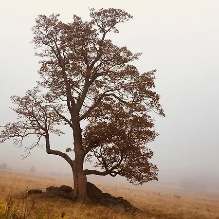 Holiday home Medvedi Boudy *