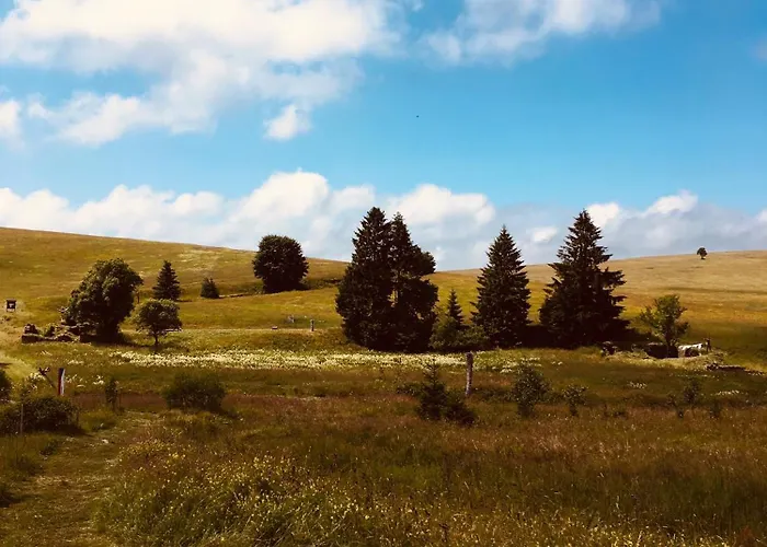 Дом отдыха Medvedi Boudy Лоучна-под-Клиновцем