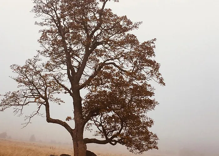 בית נופש Medvedi Boudy *