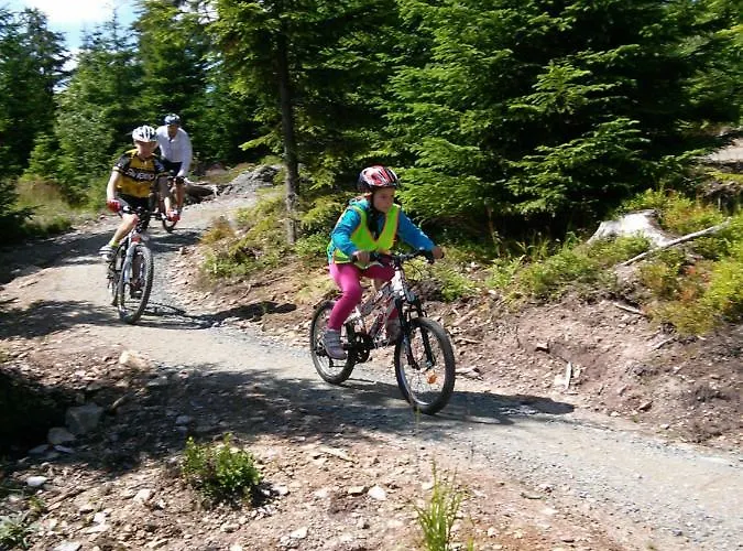 Hébergement de vacances Medvedi Boudy Loučná pod Klínovcem