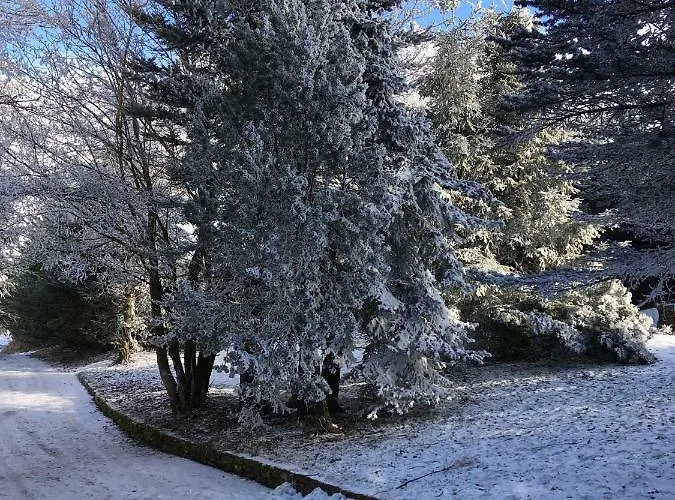 Ferienhaus Medvedi Boudy Loučná pod Klínovcem