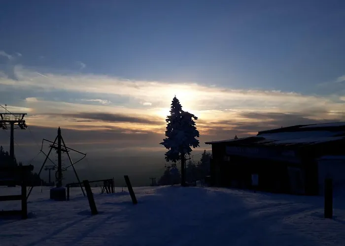 בית נופש Medvedi Boudy