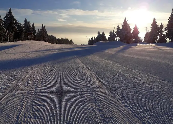 Medvedi Boudy בית נופש Loučná pod Klínovcem