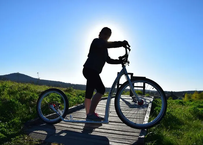 Дом отдыха Medvedi Boudy Лоучна-под-Клиновцем